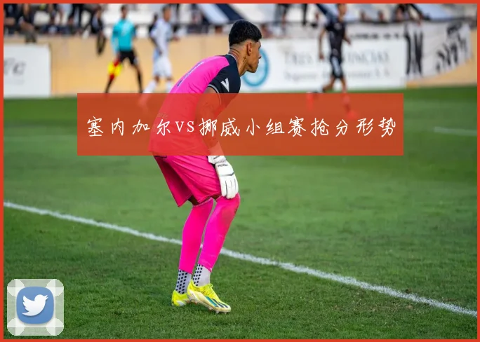 塞内加尔vs挪威小组赛抢分形势