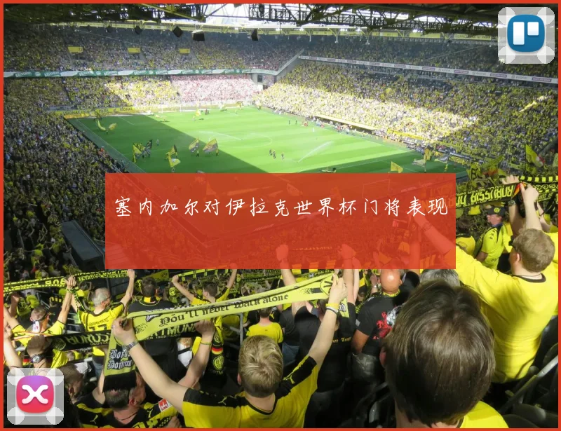 塞内加尔对伊拉克世界杯门将表现