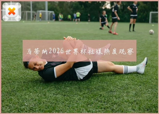 马蒂纳2026世界杯社媒热度观察