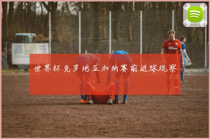 世界杯克罗地亚加纳赛前进球观察
