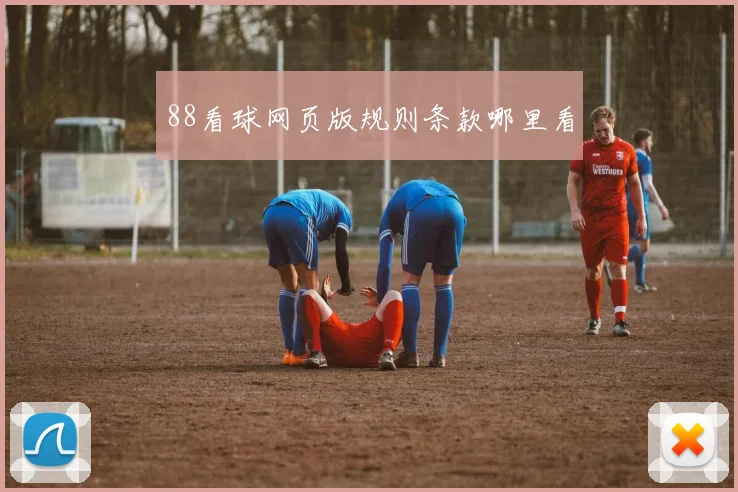 88看球网页版规则条款哪里看