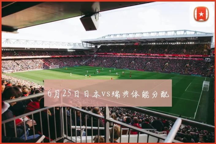 6月25日日本vs瑞典体能分配